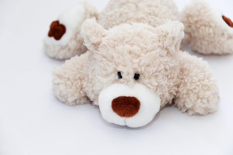 Stuffed Animal Fashion Show